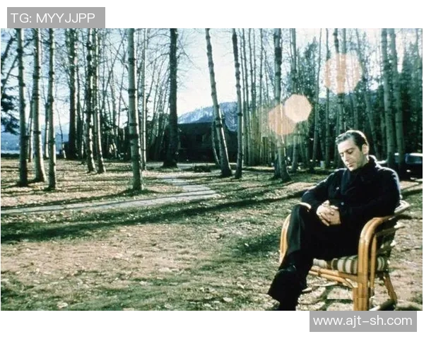 《独行侠：在孤独与荣耀之间的征途与成长》