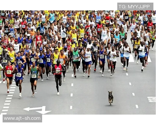 香港运动员在国际赛场崭露头角 展现拼搏精神与竞技实力 香港运动员在国际赛场崭露头角 展现拼搏精神与竞技实力