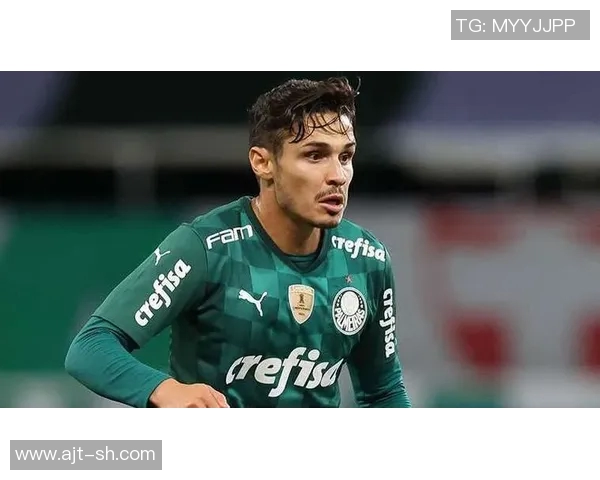 竞彩066国际对博塔弗戈赛事分析及预测展望 竞彩066国际对博塔弗戈赛事分析及预测展望